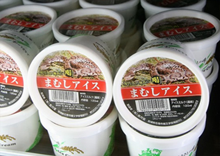 9 món kem độc, lạ chỉ có ở Nhật Bản 5