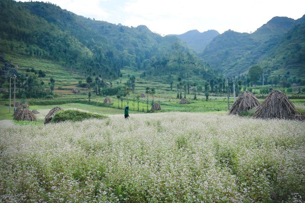 Đẹp đến 