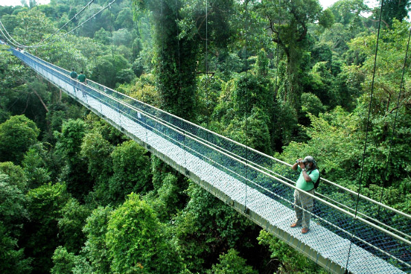 10 điểm tham quan miễn phí tuyệt nhất Singapore 3