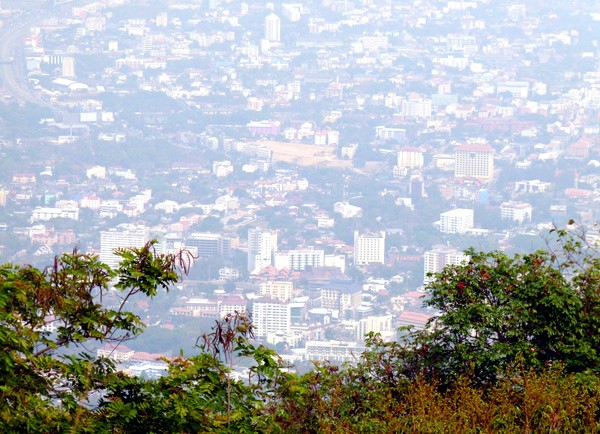 Lạc vào chợ đêm sôi động ở Chiang Mai 1