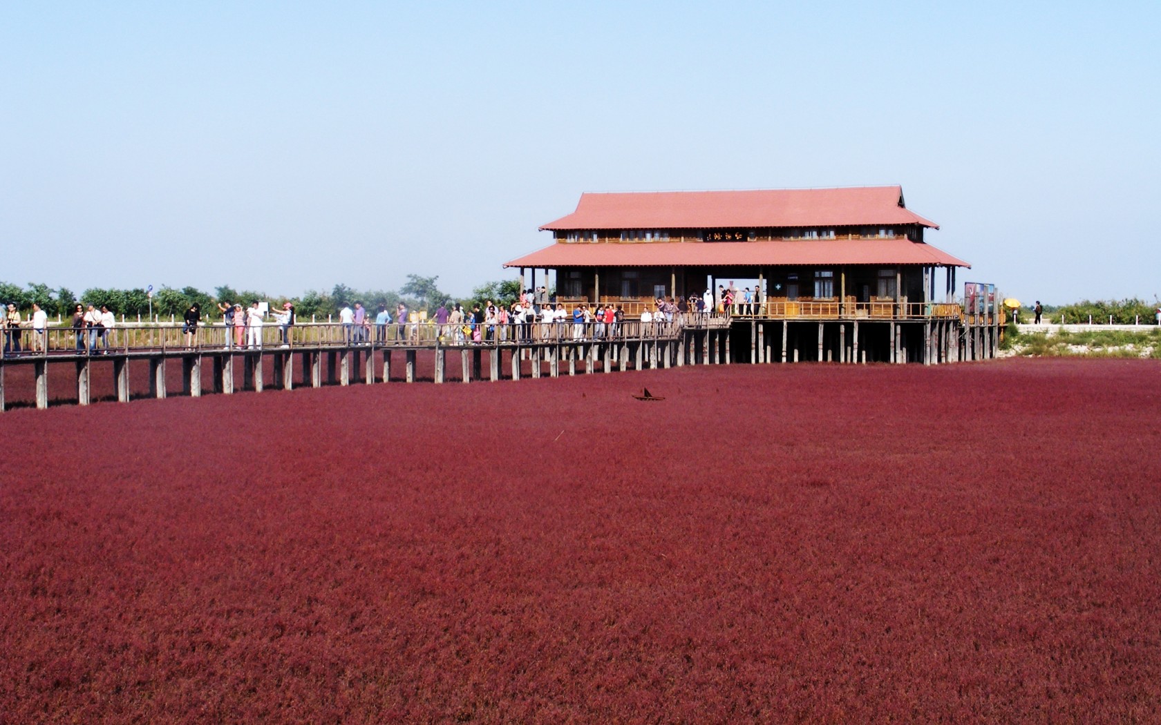 bãi biển đỏ