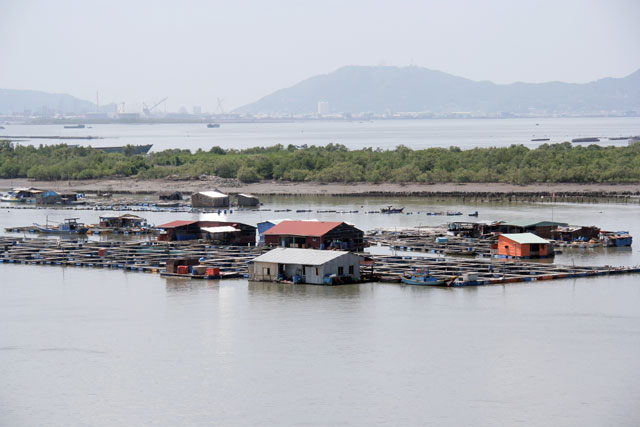 long sơn