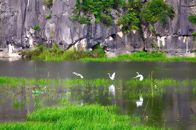 đầm vân long