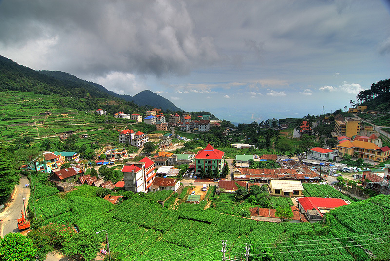 tam đảo