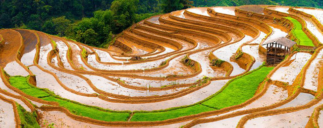 mùa nước đổ mùa nước đổ