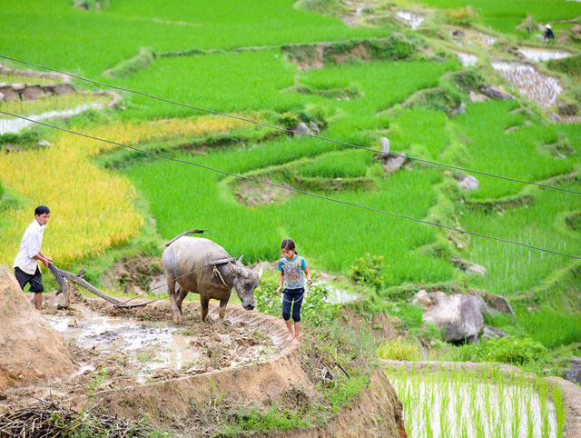 mùa nước đổ mùa nước đổ