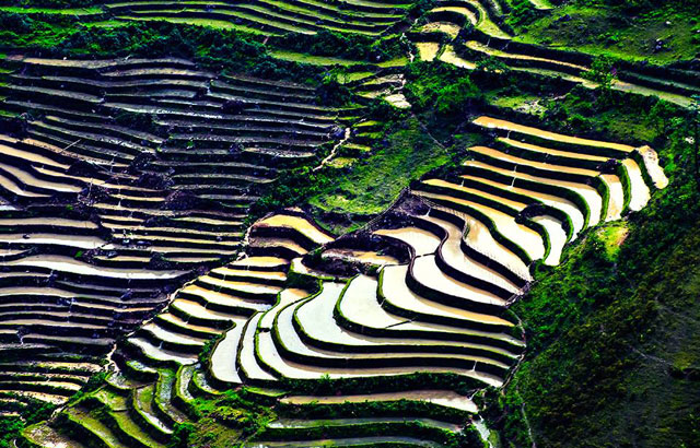 mùa nước đổ mùa nước đổ