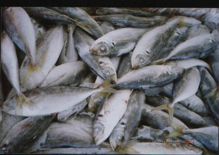 M&aacute;ch bạn c&aacute;ch sơ chế hải sản thật chuẩn v&agrave; ngon 1