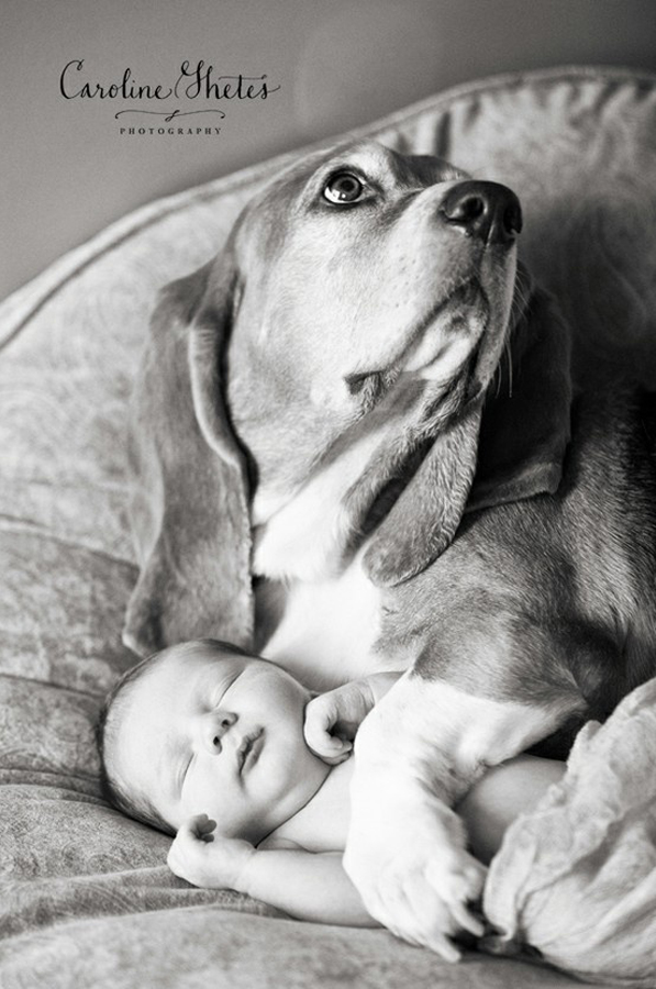 Khoảnh khắc bình yên tuyệt đẹp của bé sơ sinh bên cún cưng 10