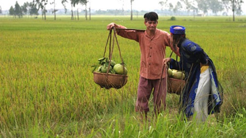 Đĩa h&agrave;i Tết ồ ạt 