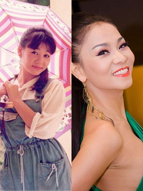 Thu Minh phản pháo nghi vấn chỉnh sửa mũi 1 Thu Minh phản pháo nghi vấn chỉnh sửa mũi 1