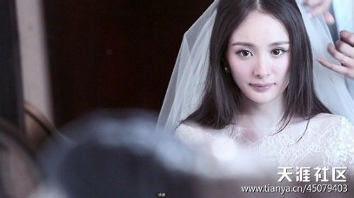 Tiết lộ hậu trường chụp ảnh cưới Dương Mịch – Lưu Khải Uy  5
