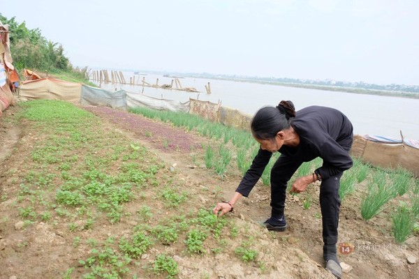 Chuyện tình đẹp của ông lão “nhặt” được vợ, 45 năm sống trôi dạt ở Hà Nội 12