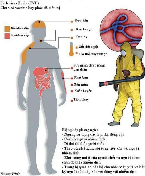 Việt Nam chuẩn bị tình huống đối phó dịch Ebola xâm nhập 3