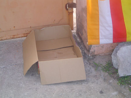 Ph&aacute;t hiện b&eacute; sơ sinh bị bỏ trong th&ugrave;ng giấy 1