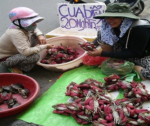 Trái cây tẩm độc, yến sào tẩy hóa chất khiến người tiêu dùng kinh hãi 2