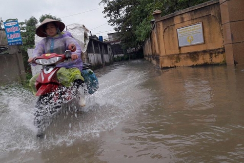 Nghệ An: Mưa lớn, học sinh nghỉ học, dân mang vợt ra bắt cá