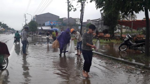 Nghệ An: Mưa lớn, học sinh nghỉ học, dân mang vợt ra bắt cá