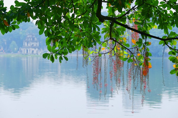 Ch&ugrave;m ảnh: H&agrave; Nội 
