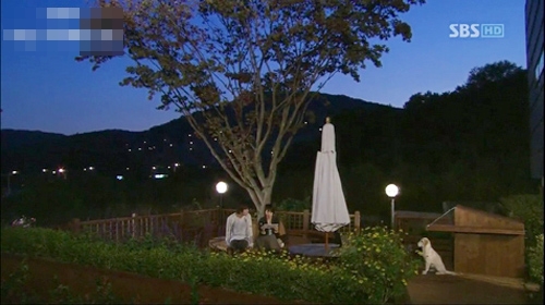 Mát mắt với những ngôi nhà vườn tuyệt đẹp trong phim Hàn 9