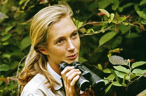 Jane Goodall