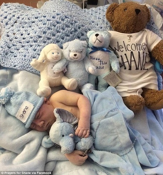 4 giờ l&agrave;m cha mẹ v&ocirc; c&ugrave;ng cảm động của cặp vợ chồng 20 tuổi 2
