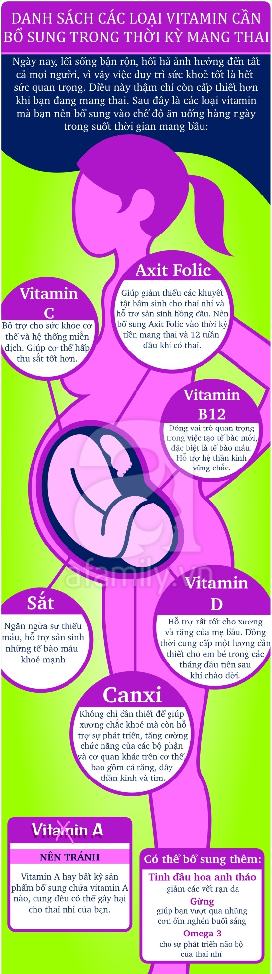 Các loại vitamin quan trọng mẹ bầu cần bổ sung khi mang thai 1