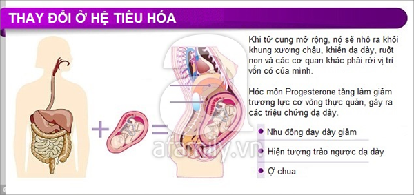 Thay đổi của cơ thể khi mang thai 5