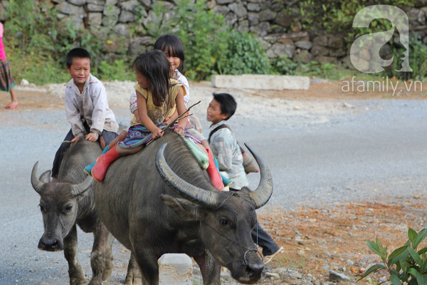 trẻ em vùng cao