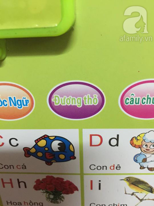 bảng chữ cái