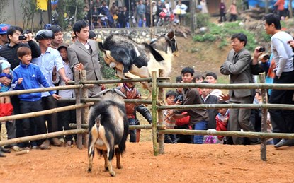 &ldquo;Cụ&rdquo; d&ecirc; v&agrave;o sới đấu 3