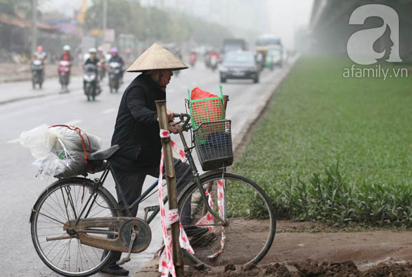 băng qua giải phân cách