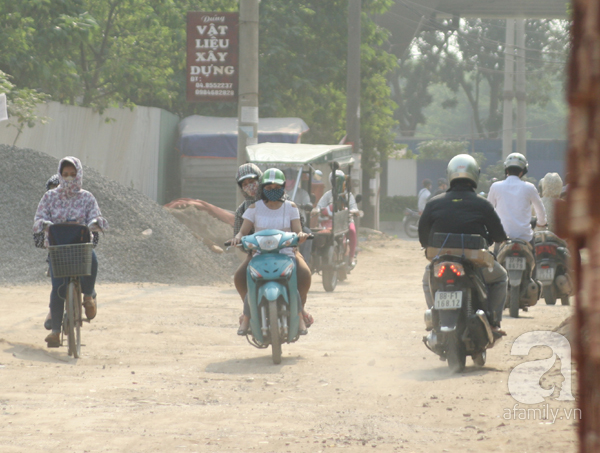 bụi mù