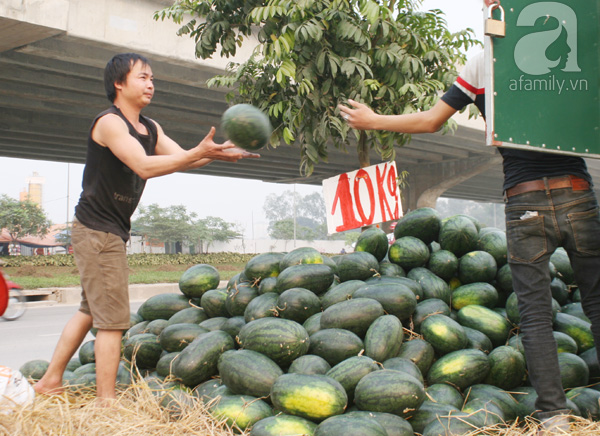 Dưa hấu