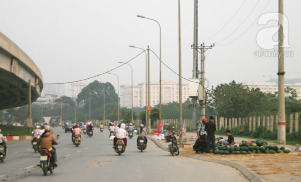 Dưa hấu