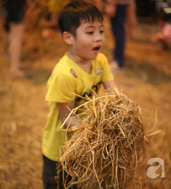 sân chơi miễn phí cho trẻ nhỏ