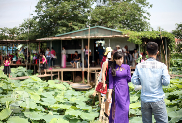 chụp sen hồ tây