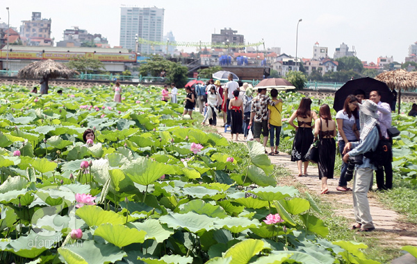 Cho thuê đồ chụp ảnh, đây là lựa chọn hoàn hảo cho những ai đam mê và yêu thích nhiếp ảnh. Thật tuyệt vời khi bạn có thể tự do lựa chọn trang phục, phụ kiện và hoa lá để trang trí cho bức ảnh của mình. Chụp ảnh sẽ trở nên đáng nhớ và ý nghĩa hơn bao giờ hết.