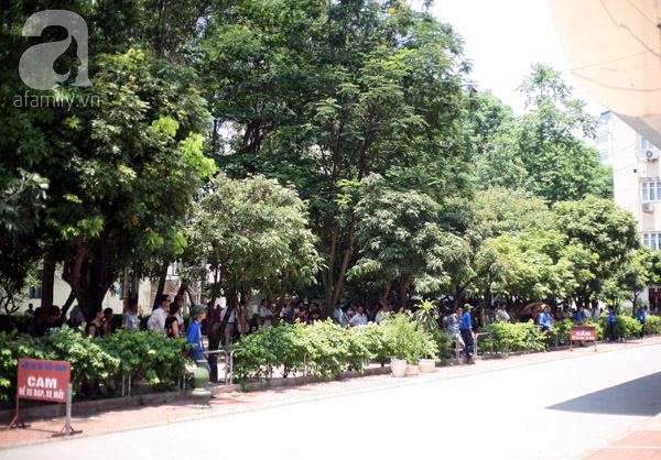 thi đại học