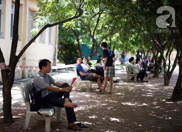 thi đại học