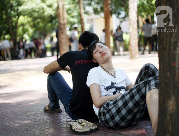thi đại học