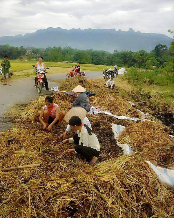ch&aacute;y l&uacute;a