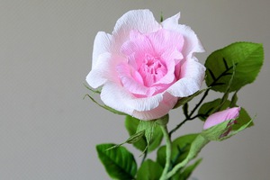 Làm hoa hồng giấy đẹp như hoa thật 11