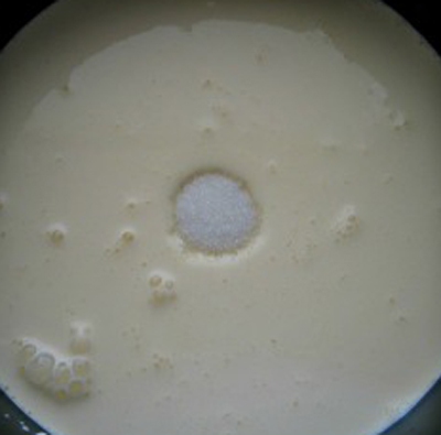 Ngọt ngào panna cotta xoài 8