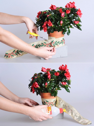 3 c&aacute;ch cắm hoa đẹp lung linh cho dịp Noel 20