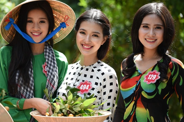 Thí sinh Hoa hậu Việt Nam đẹp dịu dàng cùng nhau đi hái nhãn 8