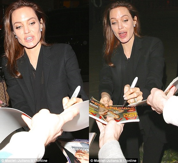 Angelina Jolie thích làm vợ đảm dù Brad Pitt phản đối 6