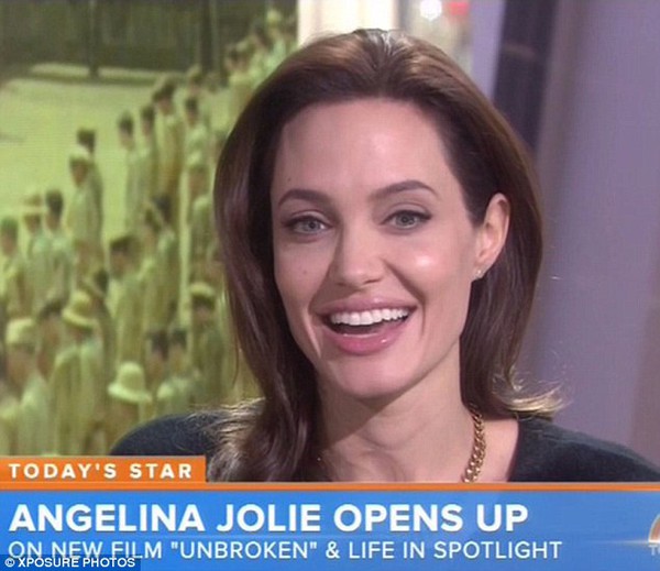 Angelina Jolie thích làm vợ đảm dù Brad Pitt phản đối 1