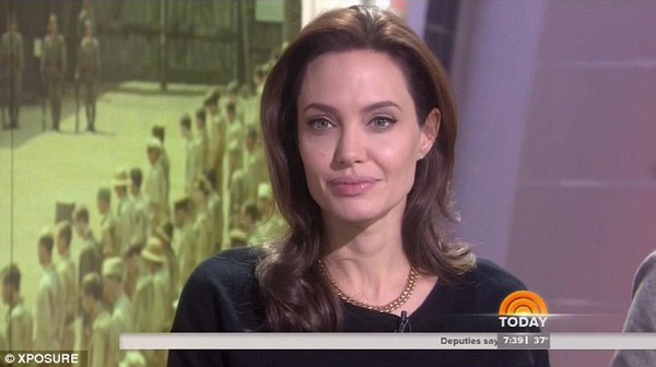 Angelina Jolie thích làm vợ đảm dù Brad Pitt phản đối 2