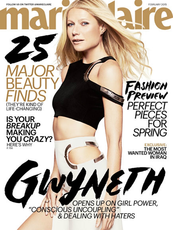 Gwyneth Paltrow hài lòng vì ly hôn chồng trong êm đẹp 2